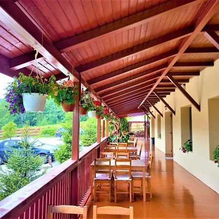 Pensiunea Castania - Pensiune Cu Piscina La Munte Polovragi Exterior photo