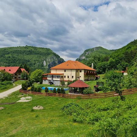 Pensiunea Castania - Pensiune Cu Piscina La Munte Polovragi Exterior photo