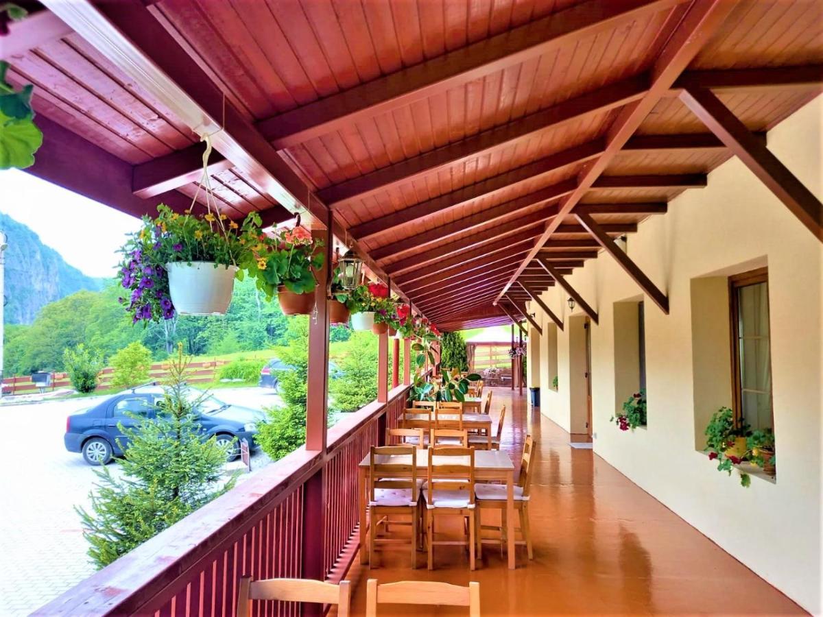 Pensiunea Castania - Pensiune Cu Piscina La Munte Polovragi Exterior photo