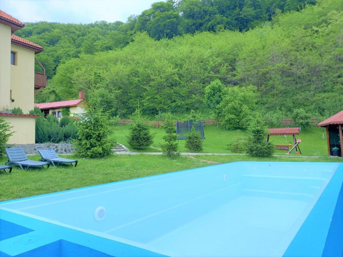 Pensiunea Castania - Pensiune Cu Piscina La Munte Polovragi Exterior photo