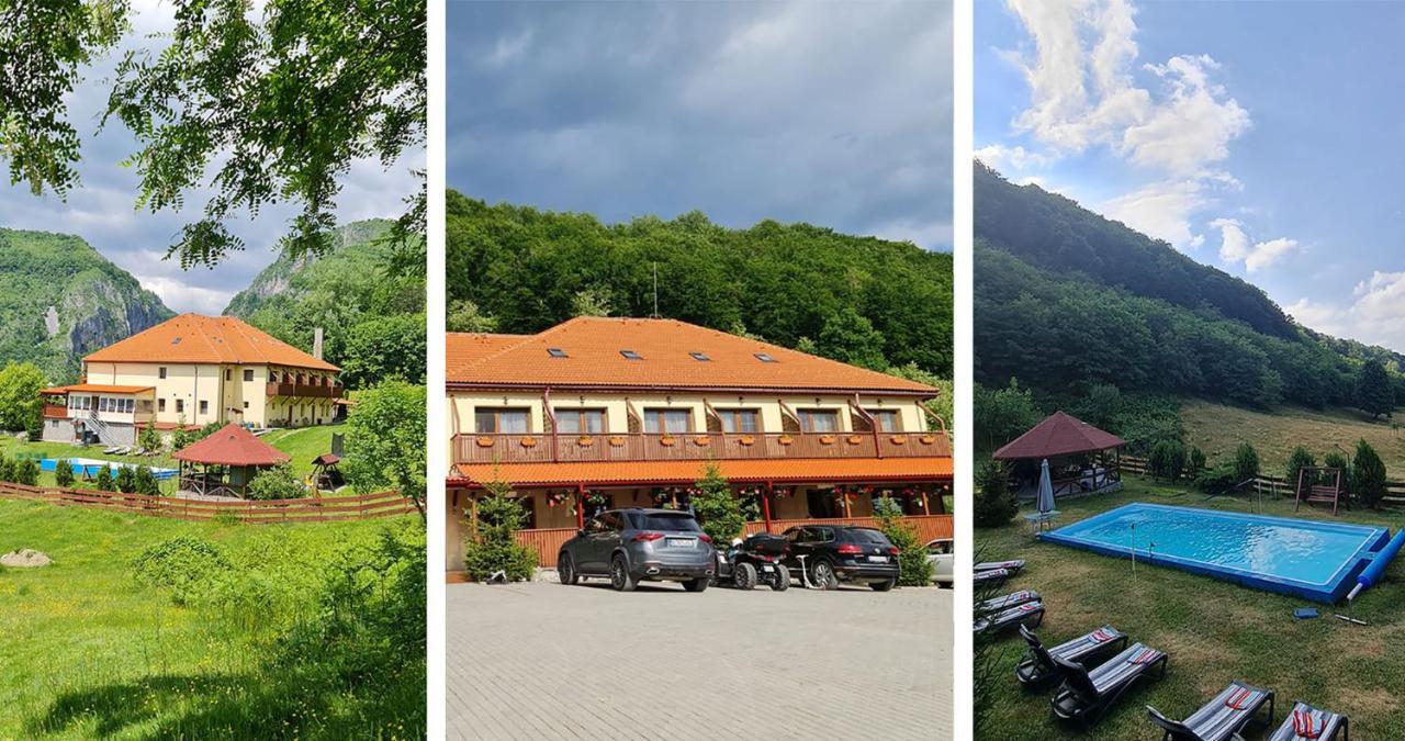 Pensiunea Castania - Pensiune Cu Piscina La Munte Polovragi Exterior photo